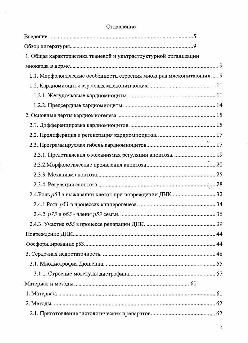 "1. Общая характеристика тканевой и ультраструктурной организации миокарда в норме