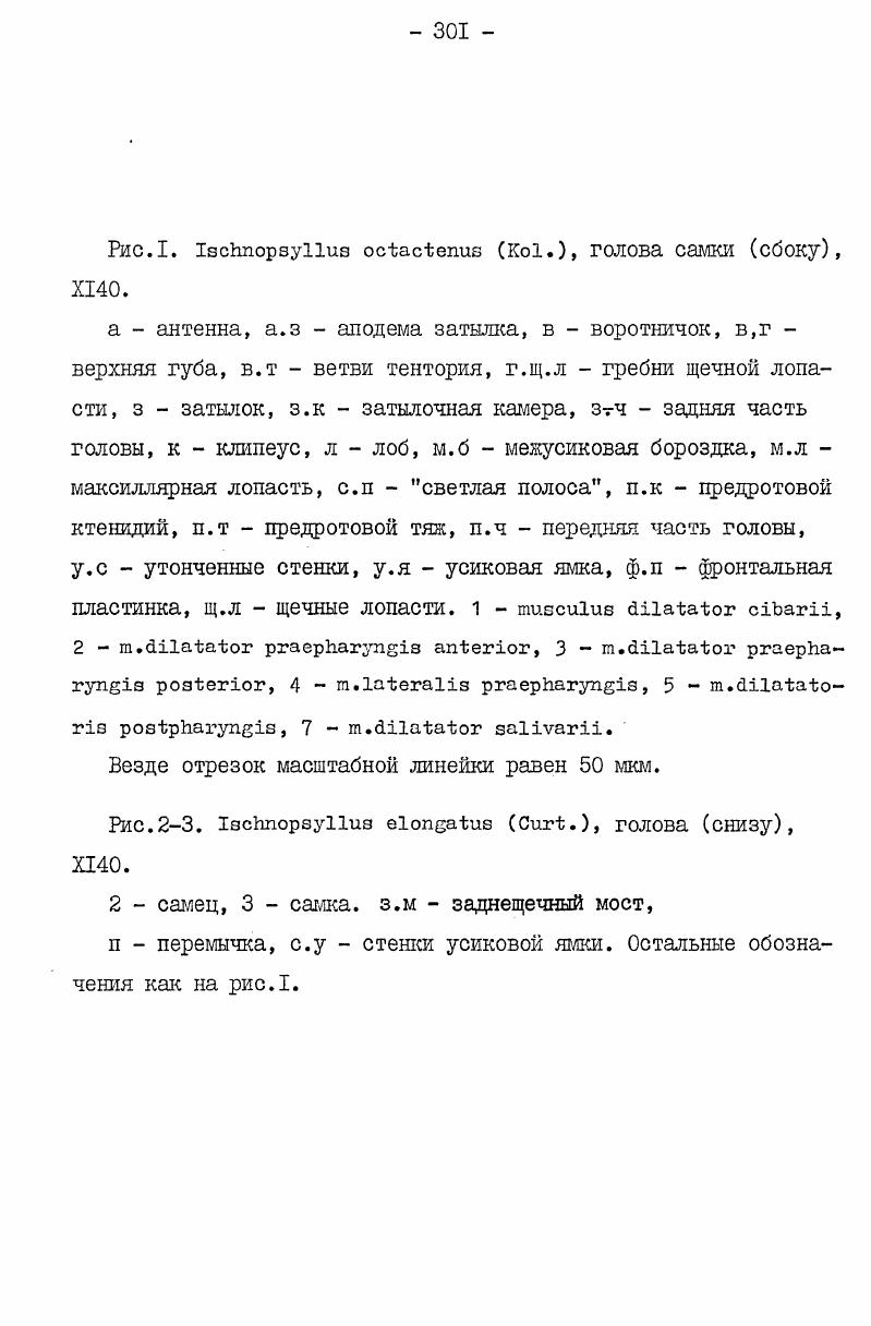 "Рис i3i x . XI. I8 левая антенна снаружи, 6 правая антенна изнутри, б булава в. 