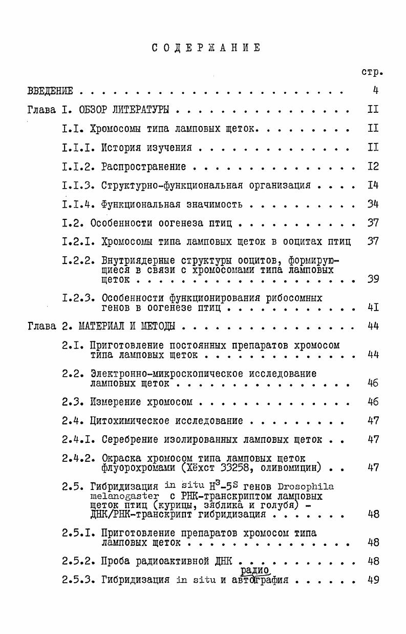 "1.1. Хромосомы типа ламповых щеток II