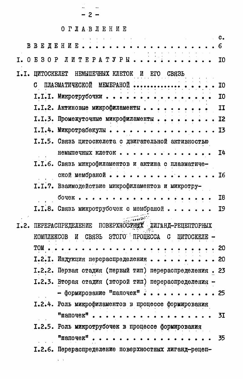 "нофлуоресцентной локализации актина и тубулина, пучки микрофиламентов часто видны лежащими параллельно микротрубочкам . I0, однако, эти наблюдения не могут считаться доказательством их взаимосвязи. В последнее время получены биохимические данные о том, что многие белки, ассоциированные с микротрубочками БАМ, способны взаимодействовать с микрофиламентами i vi в присутствии АТФ И М ii ,. В культивируемых клетках найдены белкианалоги эритроцитарного анкирина, которые связываются с микрострубочками и митотическими структурами vi ,. Показано также, что разрушение микротрубочек может изменять соотношение между полимерной и мономерной формами актина в клетках i ,. Это согласуется с мнением некоторых исследователей, о том, что сборка микротрубочек может ограничивать перестройки микрофиламентов в клетках iv i ,. При использовании антител к тубулину и иммунофлуоресцентной техники, микротрубочки в распластанных клетках часто видны вблизи плазматических мембран и лежат либо параллельно, либо оканчиваются около них i . На электронномикроскопическом уровне микротрубочки во многих случаях кажутся внедряющимися в мембрану, однако, на основании двумерных микрофотографий окончательного вывода сделать нельзя v , . В области пре и постсинаптических образований микротрубочки ассоциируют с уплотнениями, примыкающими к мембране изнутри i, . 