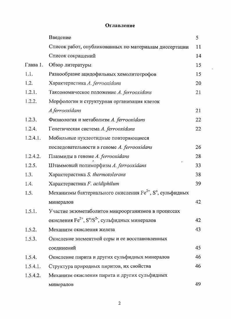 "Разнообразие ацидофильных хемолито трофов Характеристика А. еггоохс1а