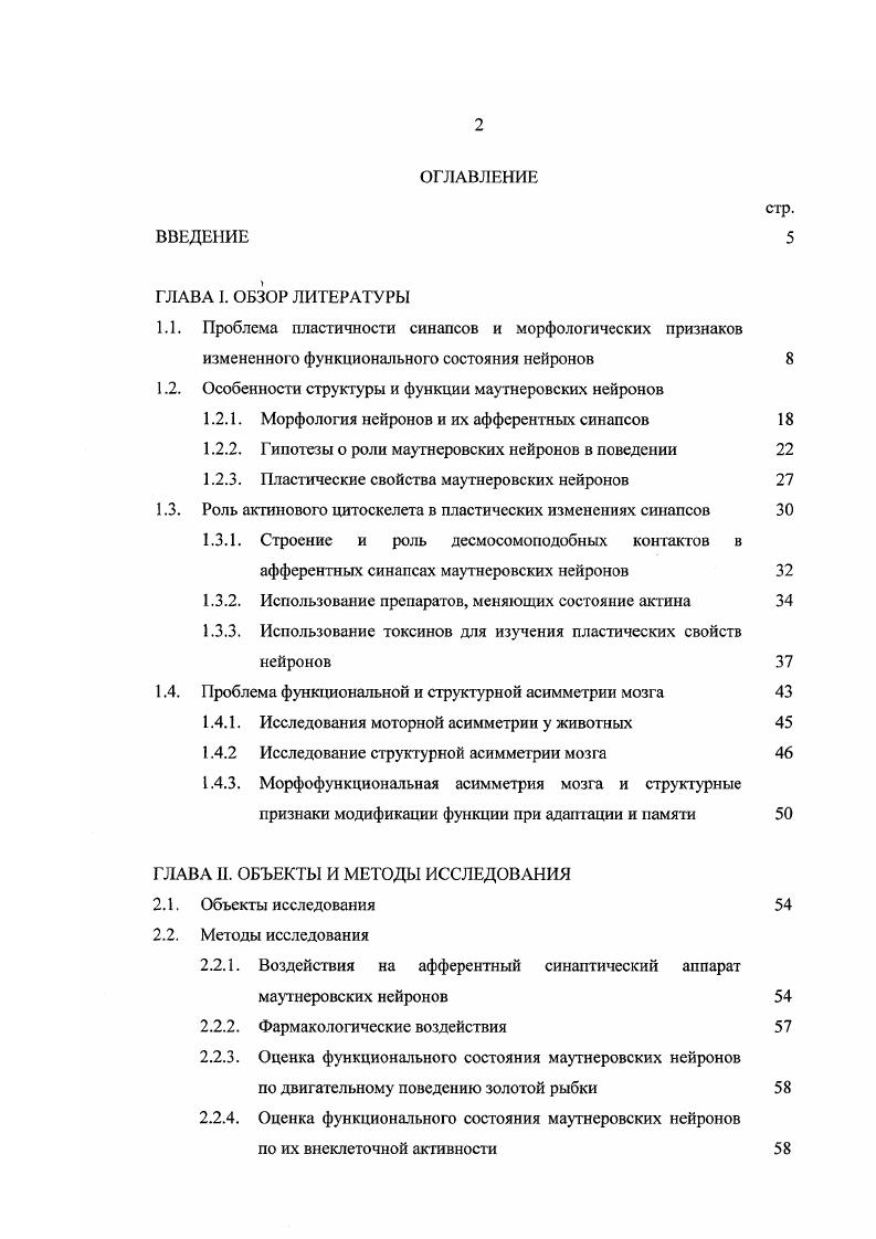 "1.1. Проблема пластичности синапсов и морфологических признаков