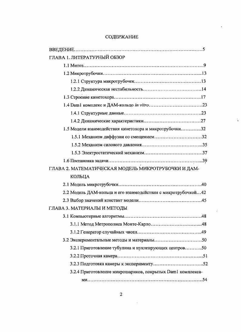 "1.5 Модели взаимодействия кинетохора и микротрубочки