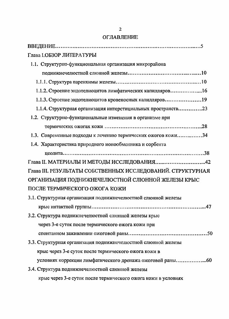 "1.1.2. Строение эндотелиоцнтов лимфатических капилляров.