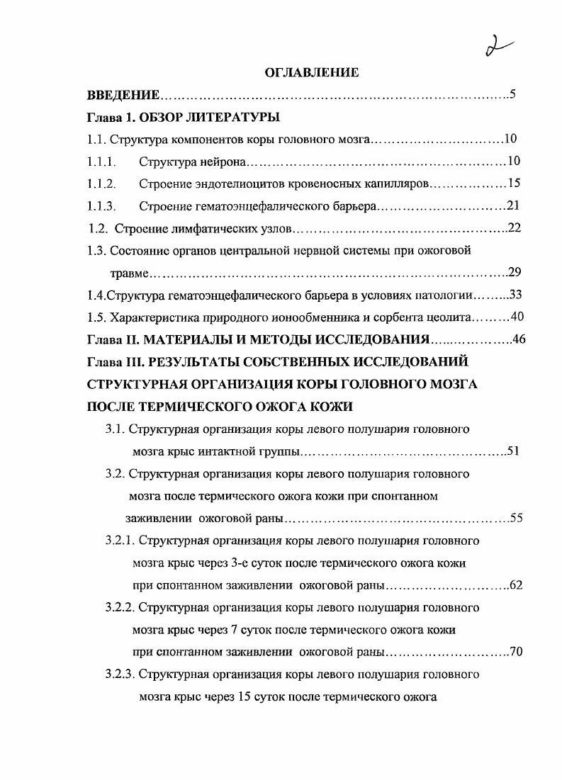 "1.1. Структура компонентов коры головного мозга