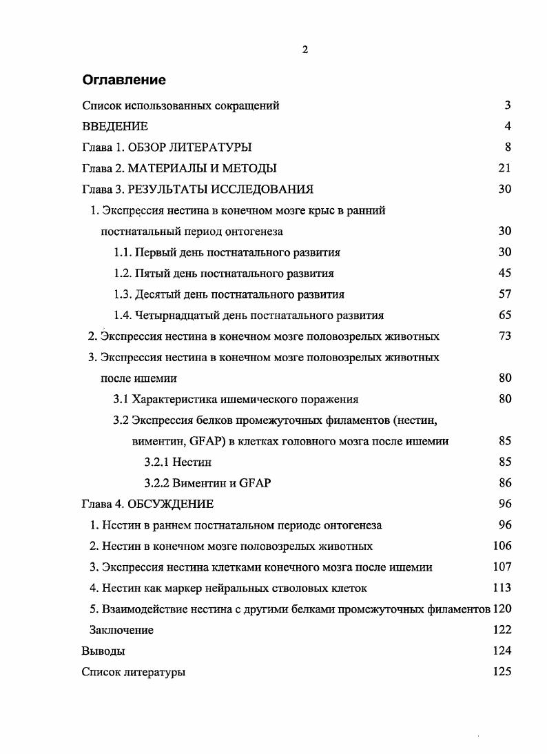 "1. Экспрессия нестина в конечном мозге крыс в ранний