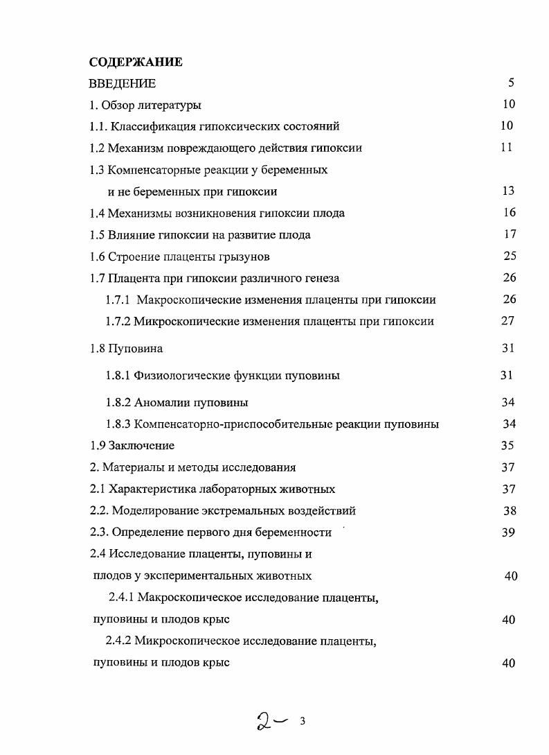 "1.1. Классификация гипоксических состояний