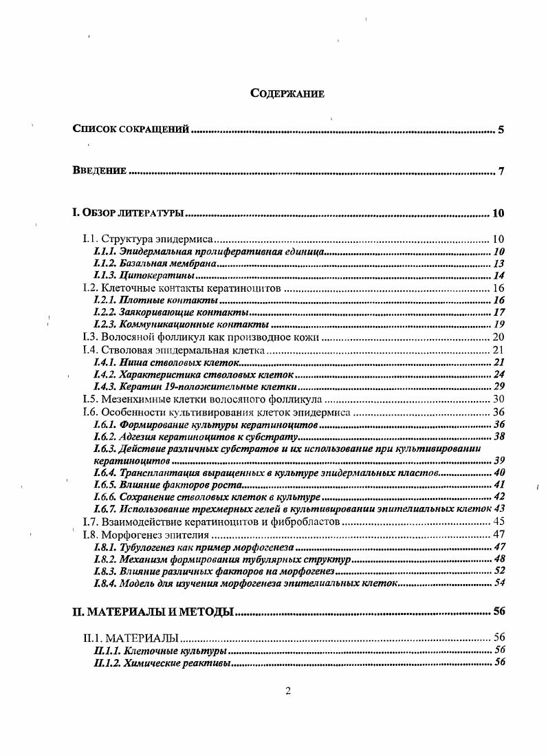 "1.1.1. Эпидермальная пролиферативная единица