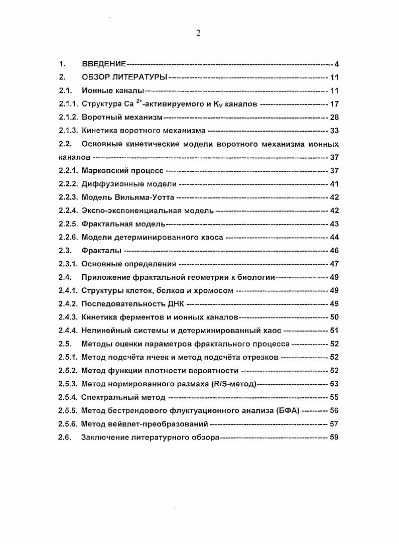 "2.1.1. Структура Са активируемого и Ку каналов