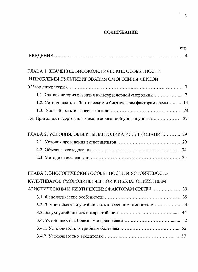 "1.1.Краткая история развития культуры черной смородины 