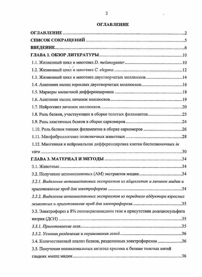 "1.3. Жизненный цикл и миогенез двустворчатых моллюсков