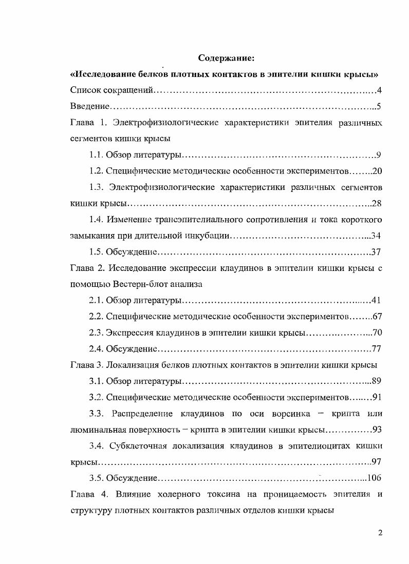 "Исследование белков плотных контактов в эпителии кишки крысы