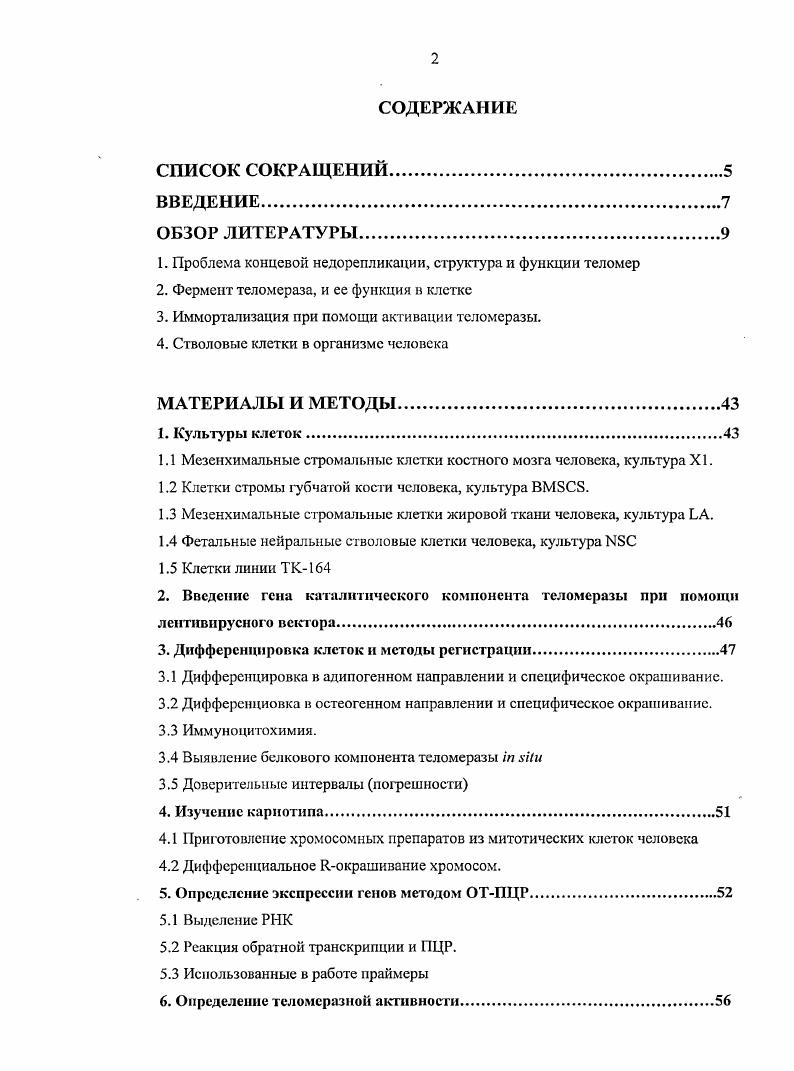 "1.1 Мезенхимальные стромальныс клетки костного мозга человека, культура XI.