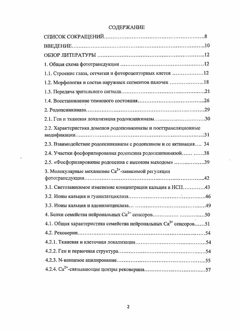 "1.1. Строение глаза, сетчатки и фоторецепторных клеток.