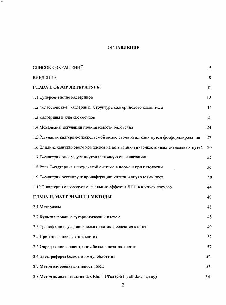 "1.2 Классические кадгерины. Структура калгсринового комплекса 