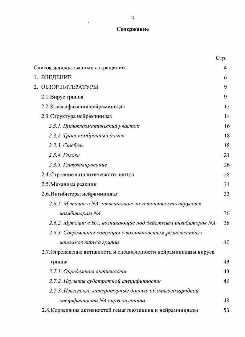 "2.3.4. Голова 