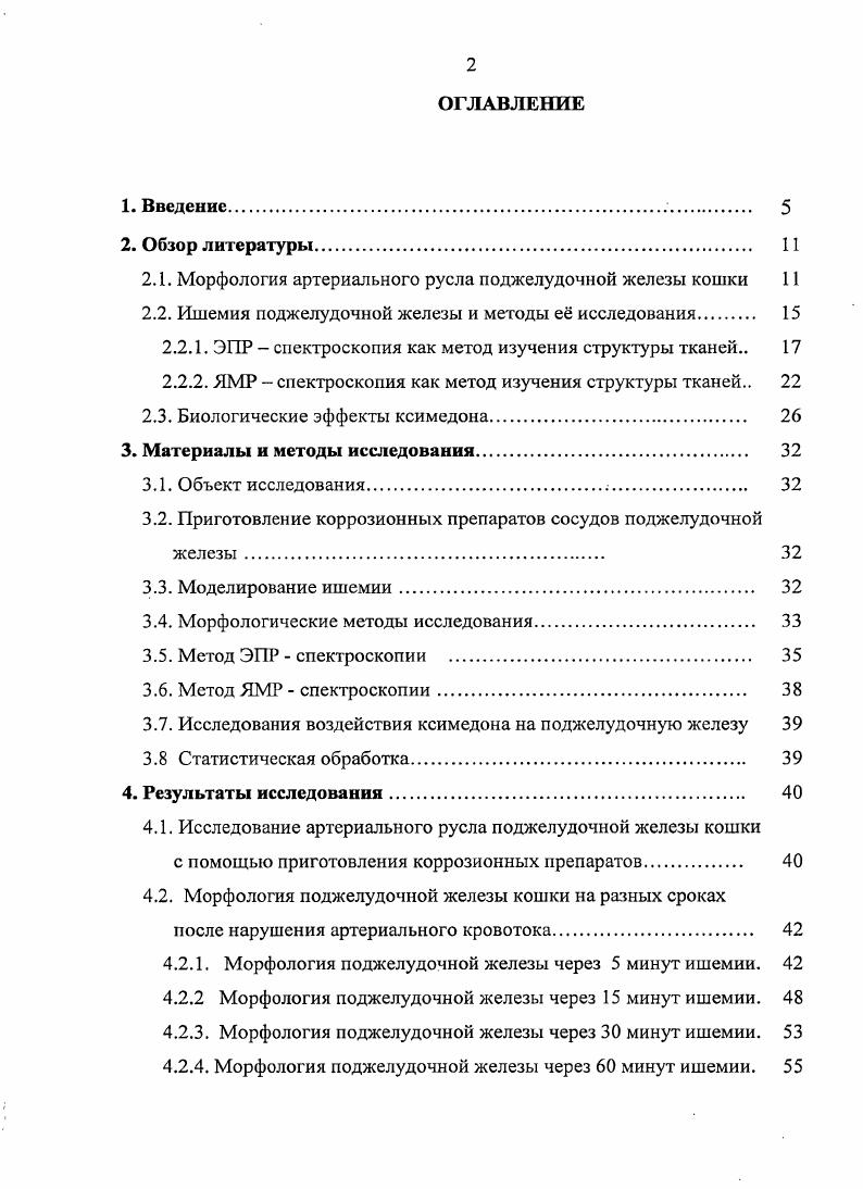 "2.1. Морфология артериального русла поджелудочной железы кошки 