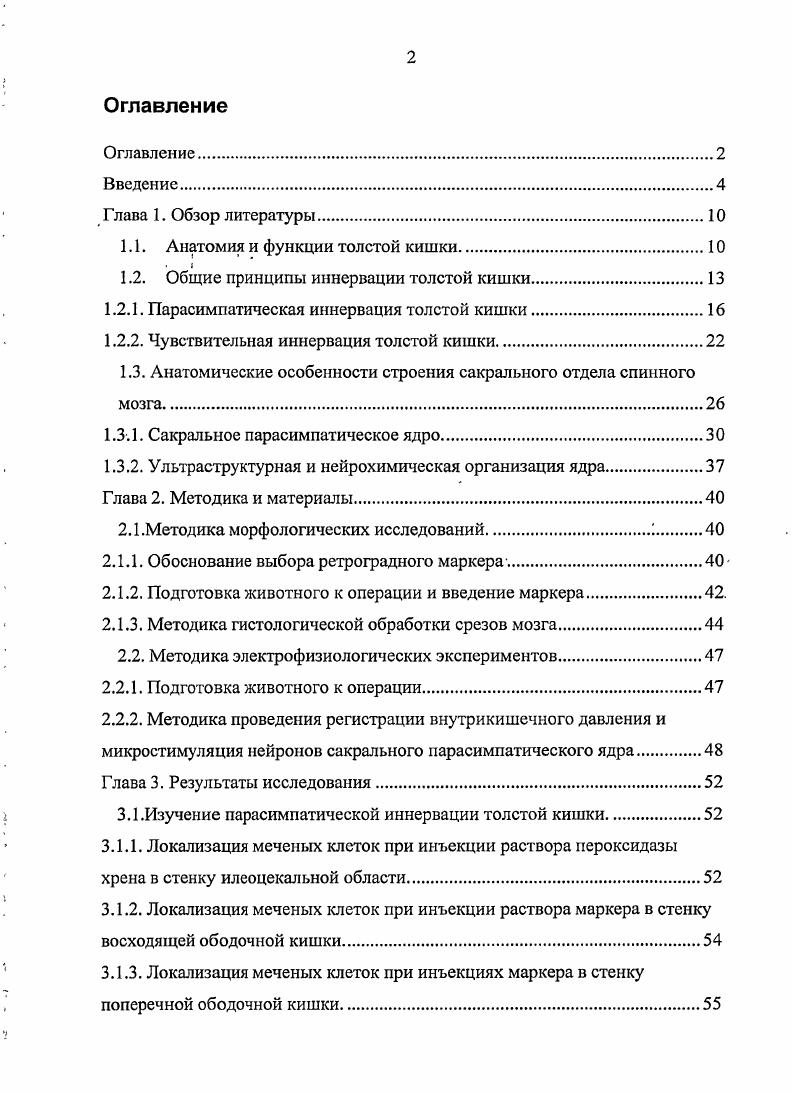"1.1. Анатомия и функции толстой кишки