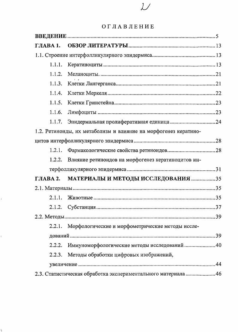 "1.1. Строение интерфолликулярного эпидермиса