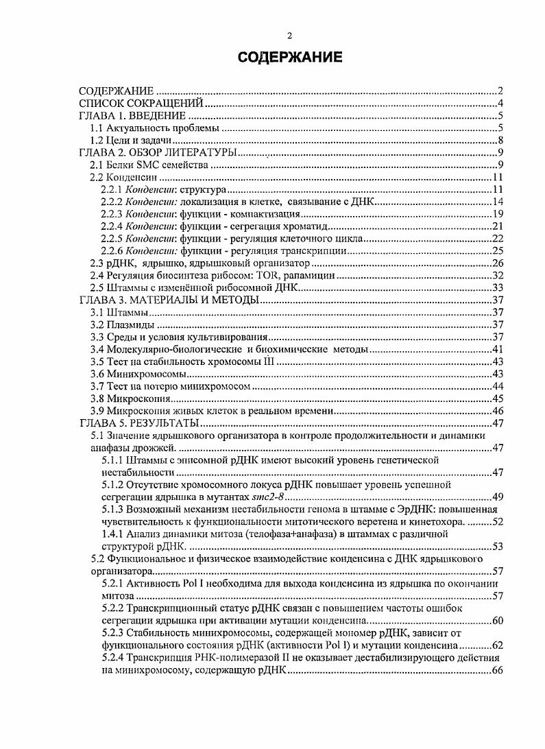 "2.2.2 Кондеисип локализация в клетке, связывание с ДНК