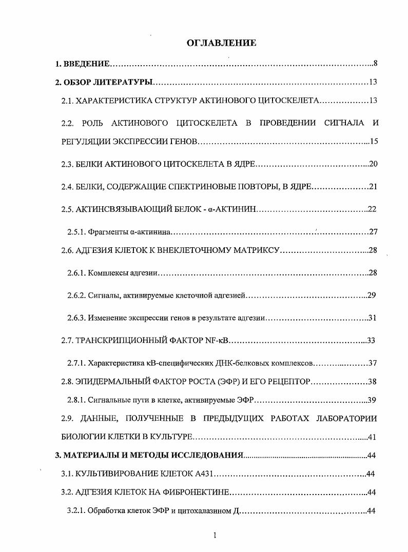 "Влияние этих факторов сопровождаются пространственной реорганизацией актиновых фила. Имеются данные, свидстсльствующие об участии актинового цитоскелета в процессах проведения внутриклеточного сигнала. В частности, некоторые сигнальные молекулы способны непосредственно взаимодействовать с белками актинового цитоскелета на определенных этапах передачи сигнала от клеточной мембраны к ядру , i, , , , . Однако, попрежнему, остаются невыясненными точные механизмы, с помощью которых актиновый цитоскелет принимает участие в сигнальных каскадах и регуляции экспрессии генов. Ряд данных говорит о том, что реорганизация актинового цитоскелста может приводить к изменению активности транскрипционных факторов i , , , , , . Реорганизация актинового цитоскслета происходит иод влиянием ростовых факторов, межклеточной адгезии и адгезии клеток к субстрату, осуществляемой, главным образом, интегрнновыми рецепторами. Вероятно, реорганизация актинового цитоскелета сопровождается перегруппировкой белков актинового цитоскелета, входящих в состав сигнальных комплексов и взаимодействующих с транскрипционными факторами. Таким транскрипционным фактором, регуляция которого может осуществляться в связи с реорганизацией актинового цитоскелета, является кВ . Показано также, что актиновый цитоскелет важен на постранскрипционном уровне регуляции, обеспечивая позиционирование РНК в цитоплазме . Дополнительными фактами, указывающими на участие актинового цитоскелета в регуляции экспрессии генов, является открытие внутриядерных функций актина и актинсвязывающих белков. Однако эти вопросы остаются, попрежнему мало изученными. Одним из таких белков, способных взаимодействовать с транскрипционными факторами, является аактинин . К семейству аактииинов принадлежат четыре генных продукт, описанные впервые как актинсвязывающие белки. Актинин1 и 4 характерны для немышечных клеток, а аактинин2 и 3 для мышечных. Функция немышечного аактинина заключается в сшивании актиновых филаментов. Позднее было показано, что аактнпин взаимодействует не только с актином, но и с большим числом молекулярных партнеров , Сагреп, . Актинин работает как скаффолд, связывая цитоскелет с различными трансмембранными белками в когтактах разного типа, и соединяет цитоскелет с разнообразными сигнальными молекулами , Сагреп, . Поскольку аактинин локализуется вблизи трансмембранных белков и актиновых филаментов, он является одной из основных мишеней регуляции сигнальных путей, особенно тех, что связаны с интегринами. Аминокислотная последовательность аактинина1 и аактинина4 гомологична на , однако функции их в клетках различаются. В отличие от аактинина1, аактинин4 способен транспонироваться в ядро и взаимодействовать с факторами транскрипции . Партнерами аактинина4 в ядре являются 3катении и факторы транскрипции, x содержащий белок 1 и гистондеацетилазы . Актинин является одним из кандидатов на роль партнера транскрипционного фактора . Семейство транскрипционных факторов I принимает участие в регуляции экспрессии большого числа генов, среди которых гены, ответственные за иммунный ответ, противовоспалительные реакции, организацию цитоскслета и другие гены i . Транскрипционные факторы семейства кВ регулируются большим числом внеклеточных сигналов, среди которых ультрафиолет, факторы роста, фактор некроза опухолей, вирусы, при действии которых кВ активируется в цитоплазме, после чего транспортируется в ядро , , . Эпидермальный фактор роста ЭФР также является одним из регуляторов кВ , , . Одним из малоизученных вопросов остаются механизмы его перераспределения в цитоплазме и пути транспорта в ядро. Данные об участии октанового цитоскслета в регуляции кВ, полученные в нашей лаборатории, свидетельствуют о том, что кВ солокализуется в цитоплазме нормальных фибробластов вдоль стрессфибрилл и в фокальных контактах. Методом аффинной хроматографии на колонках было подтверждено, что кВ может связываться с иммобилизованным актином и высказано предположение, что распределение кВ в цитоплазме происходит в зависимости от состояния актина . 