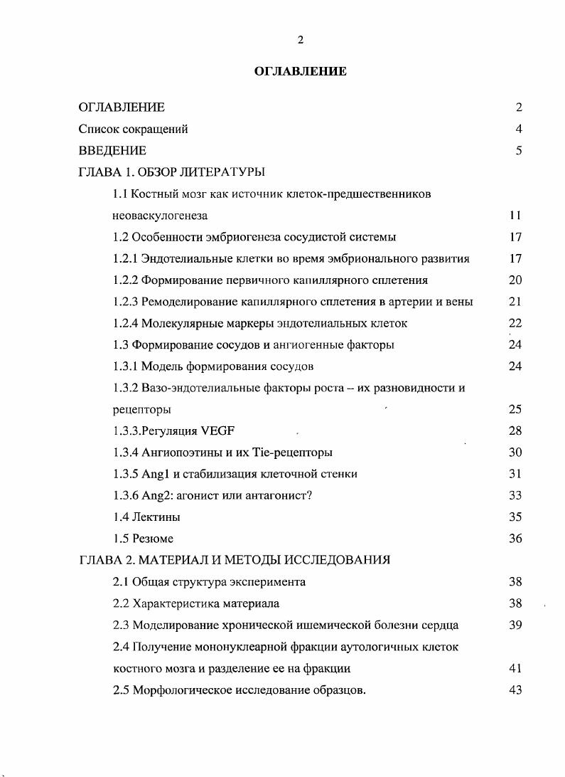 "1.1 Костный мозг как источник клстокпредшественпиков неоваскулогенеза 