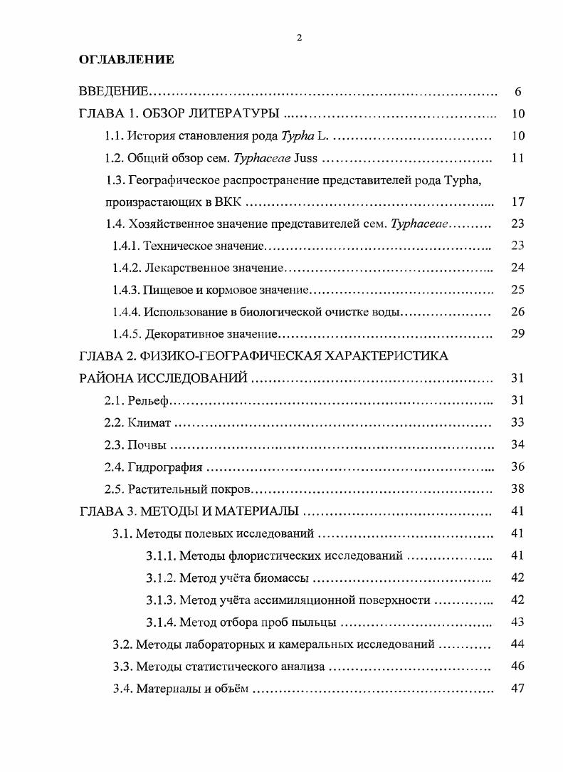"1.1. История становления рода Турка Ь 