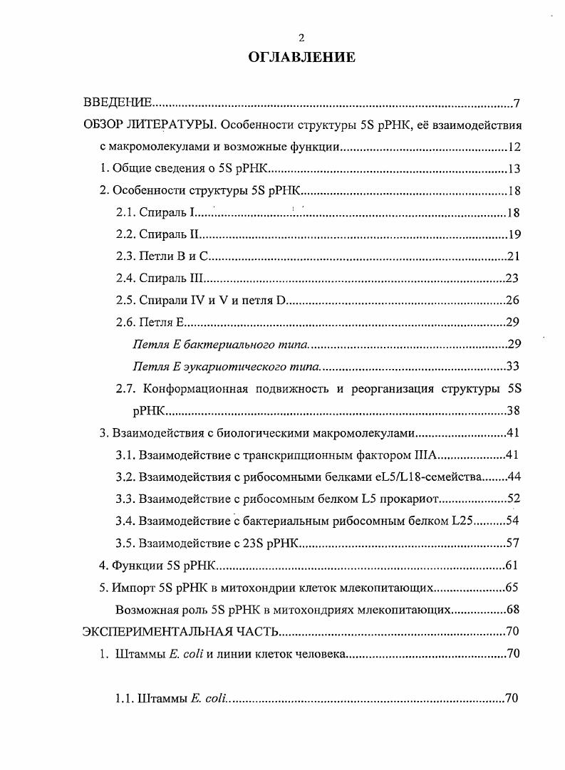 "Петля Е бактериалыюго типа.