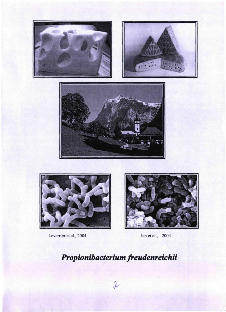 "Биология iii iii в связи с решаемой