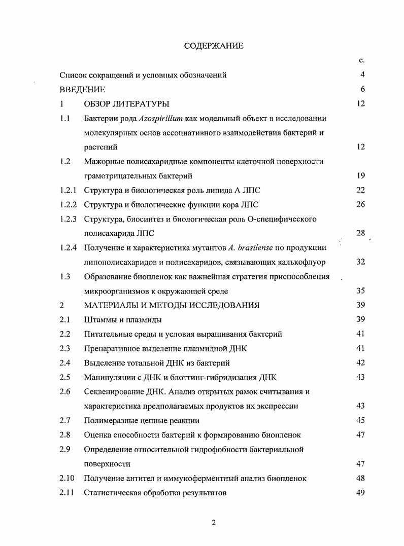 "1.1 Бактерии рода АгойрмИит как модельный объект в исследовании