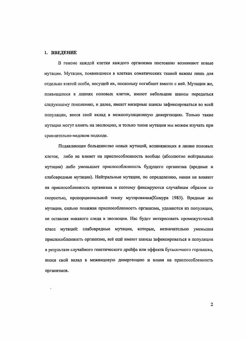 "Эпистатичсскос взаимодействие мутаций на фоне рекомбинации позволяет элиминировать мутации группами, а не поодиночке i , уменьшая, таким образом, мутационный груз долю особей элиминируемых изза слабоврсдпых и вредных мутаций на фоне постоянного высокого темпа мутирования v v . Механизм этого процесса следующий рекомбинация, случайно перемешивает мутации и дают на выходе распределение организмов с большим и меньшим числом вредных мутаций, чем до рекомбинации. То есть рекомбинация способна увеличить дисперсию числа вредных мутаций, что дат две возможности 1 отсекающий отбор может элиминировать только правый хвост распределения организмы, содержащие много вредных мутаций и, таким образом, обеспечить поддержание мутационноселективного равновесия малым числом жертв 2 в результате рекомбинации могут получиться организмы, содержащие меньшее число вредных мутаций, чем родители, это защищает рекомбинирующие геномы от необратимого накопления вредных мутаций, которое наблюдается у некоторых бесполых организмов. Поддержание мутационноселективного равновесия является допущением большинства эволюционных моделей, и такое допущение, видимо, вполне разумно в долгосрочной перспективе. Однако в каждый конкретный момент времени определенный вид может либо накапливать мутации, либо, наоборот, удалять их быстрее, чем они появляются. Если отбор недостаточно эффективен, чтобы удалять все новые слабовредные мутации, данный вид будет накапливать слабовредные мутации, понижая свою общую приспособленность число потомков, доживших до половой зрелости. Однако в тот момент, когда среднее число потомков от пары организмов, доживших до половой зрелости, опустится ниже двух, и данная популяция будет не способна к дальнейшему поддержанию своей численности на прежнем уровне, начнется процесс мутационного плавления i , ведущего к вымиранию вида , . Мутационное плавление происходит в результате существования положительной обратной связи между уменьшением численности популяции и увеличением темпа накопления слабовредных мутаций если от каждой пары организмов до состояния половой зрелости доживает менее двух потомков, то численность популяции начинает падать, что автоматически увеличивает силу генетического дрейфа, в результате которого фиксируется большая доля слабовредных мутаций. После накопления дополнительных слабовредных мутаций, приспособленность организмов падает ещ сильнее, и количество потомков, доживших до половой зрелости, уменьшается ещ быстрее, приводя к дальнейшему падению численности и увеличению силы генетического дрейфа и т. Такой процесс должен приводить к вымиранию вида. Однако ещ никто не наблюдал процесс вымирания видов изза мутационного плавления, и пока это лишь математическая абстракция , . Митохондриальный геном, который выбран основным объектом данной работы, является очень интересным и важным с точки зрения отбора против слабовредных мутаций изза существования трх принципиальных отличий от ядерного генома. Вопервых, в митохондриальном геноме изза отсутствия генетической рекомбинации между геномами, произошедшими от разных родителей, невозможно перераспределение вредных мутаций и, таким образом, мутационный груз не может быть уменьшен за счт удаления сразу нескольких мутаций с одной элиминированной особыо. Другими словами, в митохондриальном геноме правило Мллера одна мутация одна генетическая смерть является неоспоримой истиной. Вовторых, митохондриальный геном наследуется только по материнской линии, поэтому его гены имеют низкую эффективную численность такую же, как У хромосома, в связи с чем они сильнее подвержены накоплению слабовредных мутаций в результате генетического дрейфа. Втретьих, изза агрессивной внутренней среды активные формы кислорода и большого числа раундов репликации митохондриального генома темп мутирования митохондриальной ДНК мтДНК на нуклеотид па поколение увеличен примерно на три порядка и составляет около 1. На поколение на митохондриальный геном мы получаем около 1. Хотя точных цифр пока не известно более детальное оценивание темпа мутирования митохондриального генома см. 