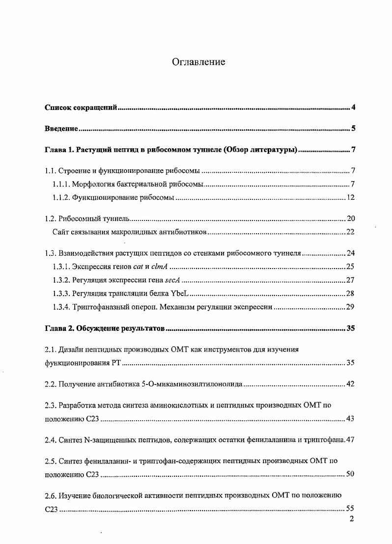 "Глава 1. Растущий пептид в рибосомном туннеле Обзор литературы