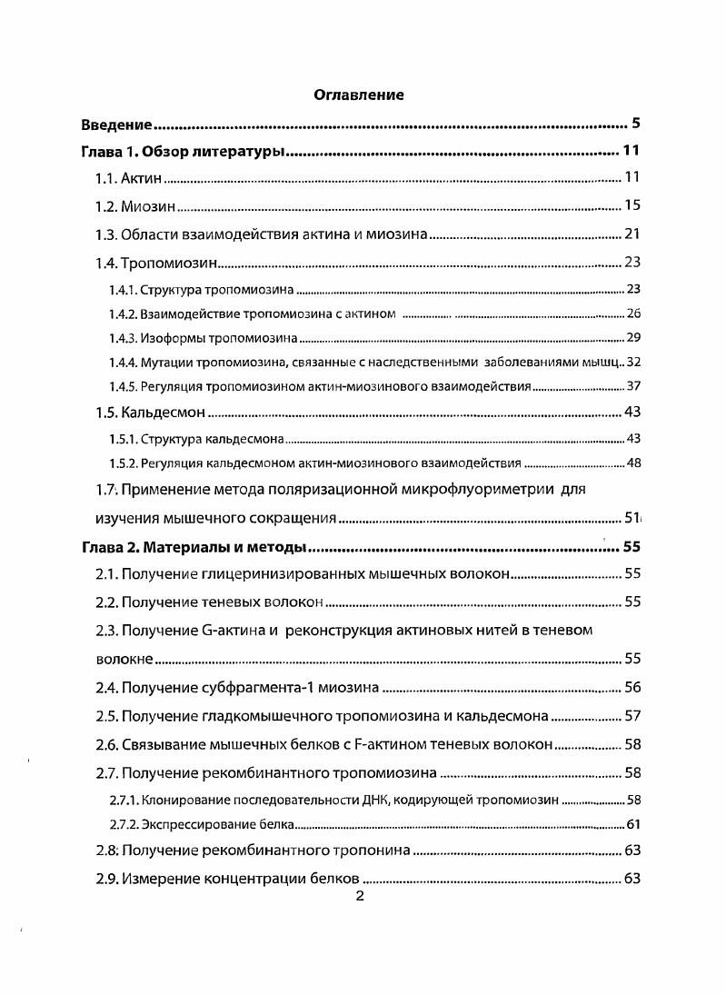 "1.3. Области взаимодействия актина и миозина.