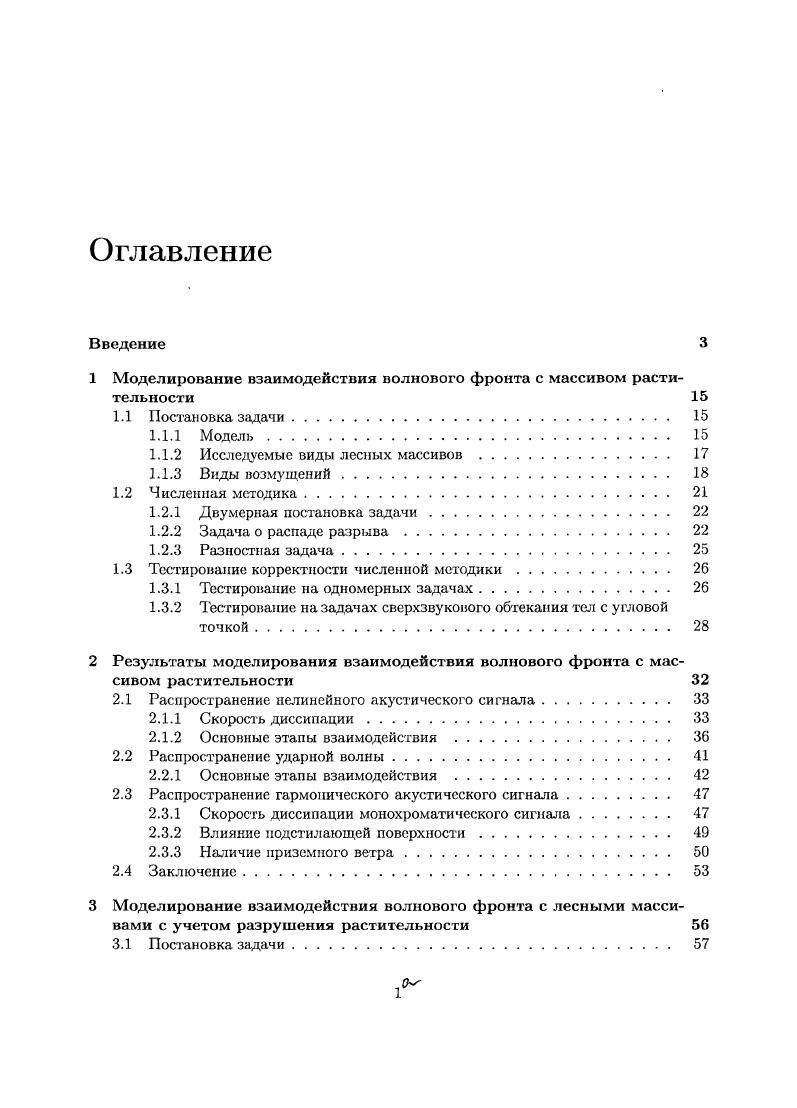 "1 Моделирование взаимодействия волнового фронта с массивом растительности 