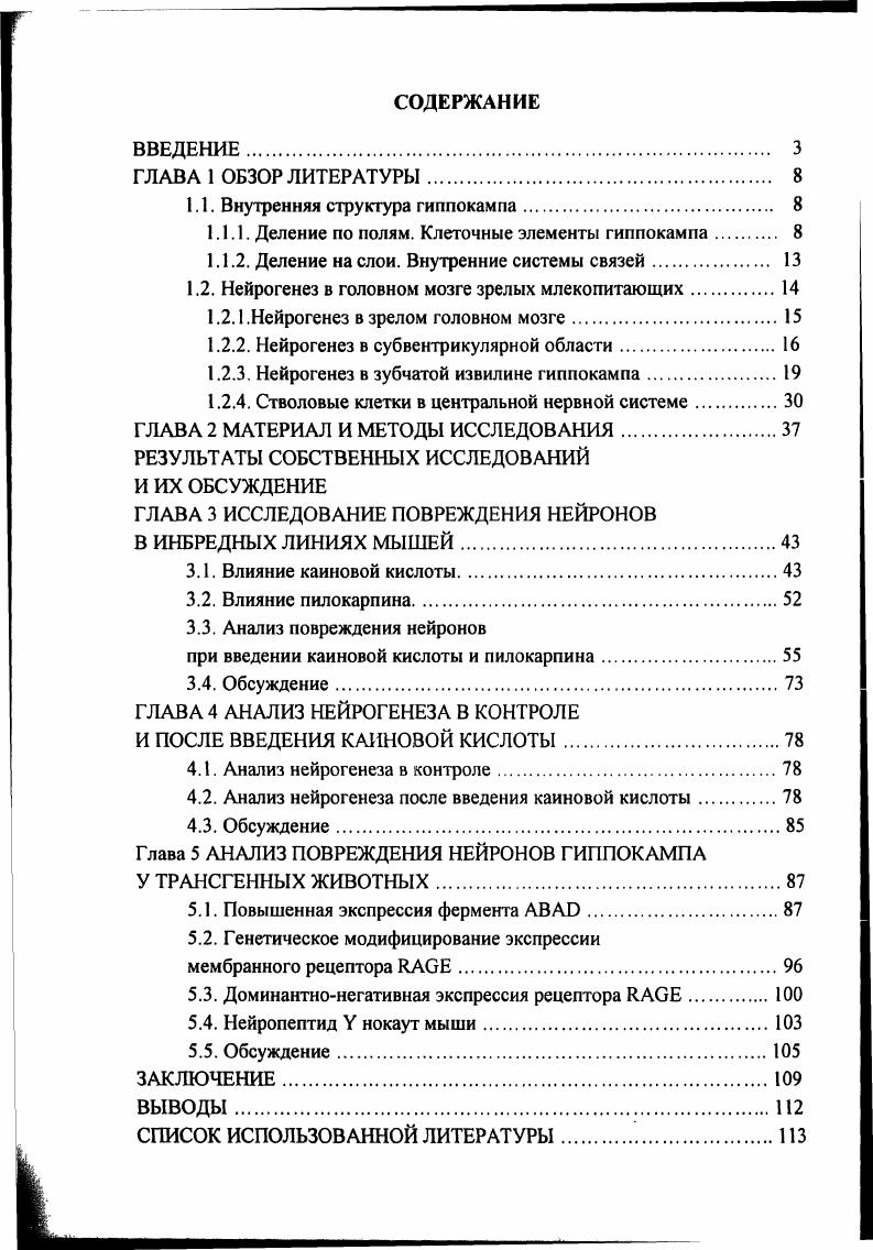 "1.1. Внутренняя структура гиппокампа 