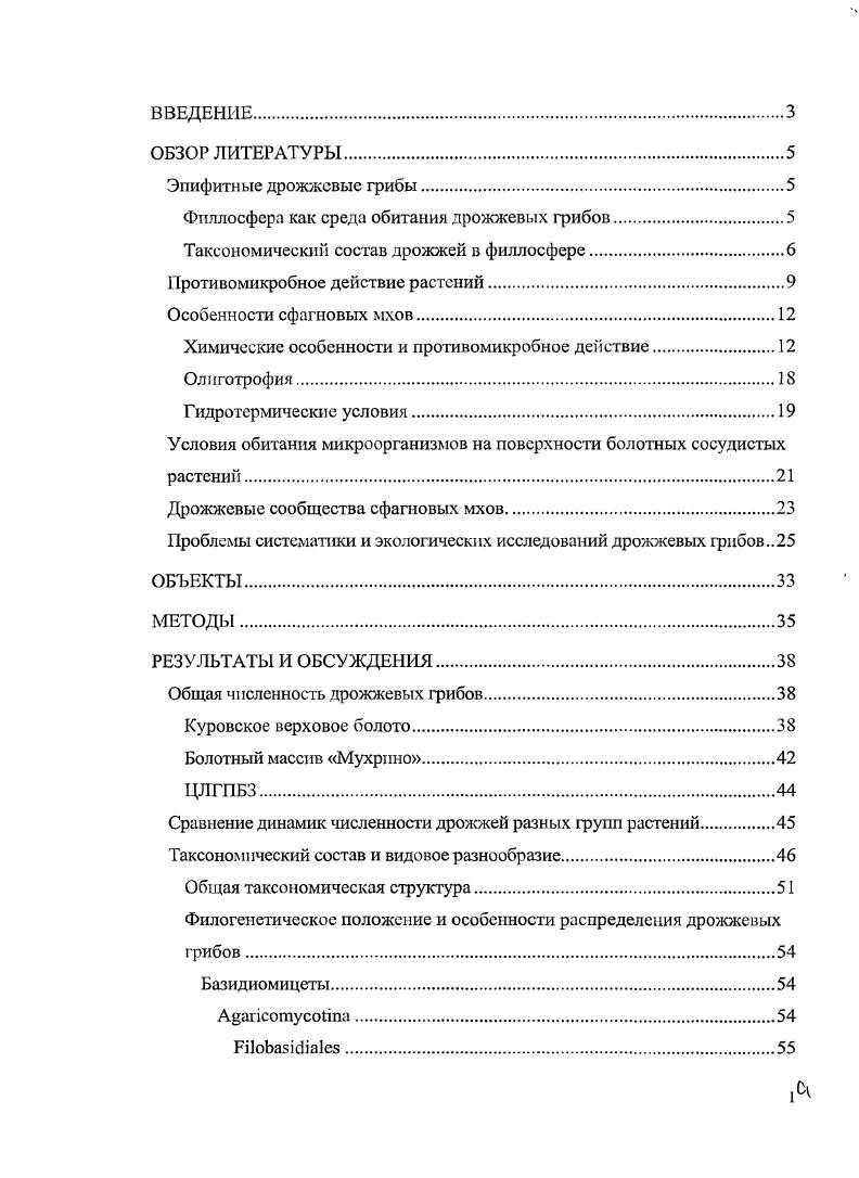 "Филлосфера как среда обитания дрожжевых грибов