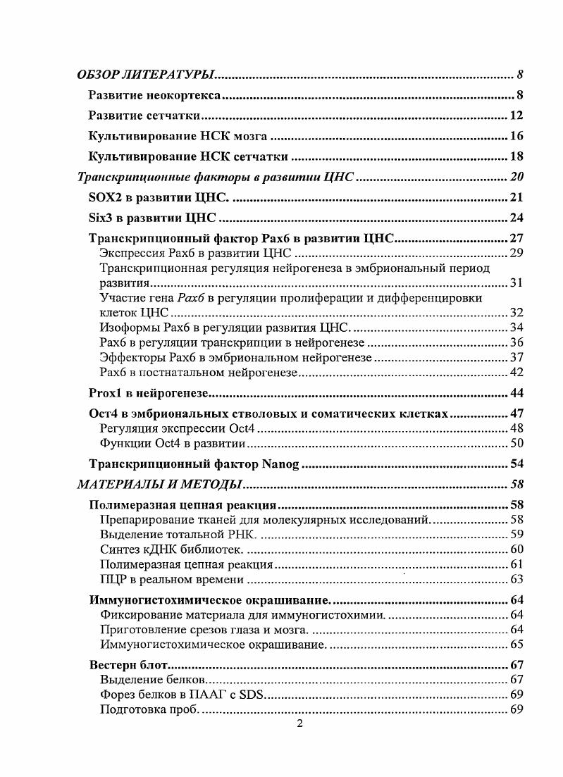 "Транскрипционные факторы в развитии ЦНС