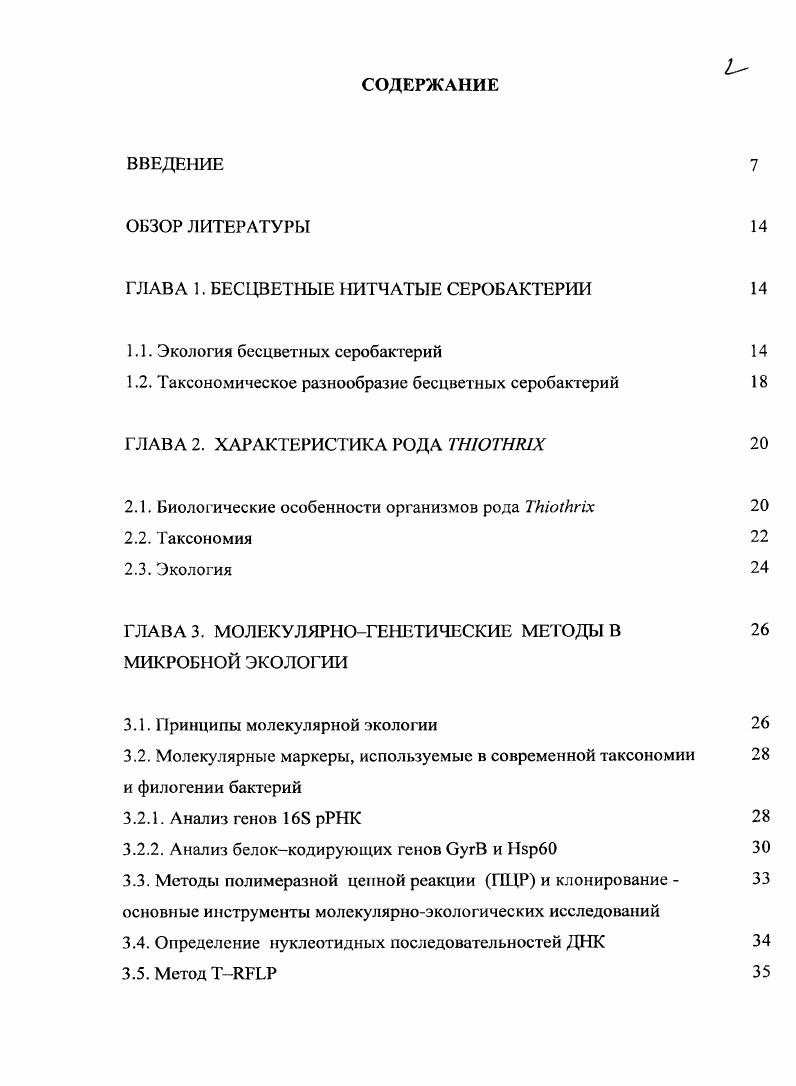 "ГЛАВА 1. БЕСЦВЕТНЫЕ НИТЧАТЫЕ СЕРОБАКТЕРИИ 