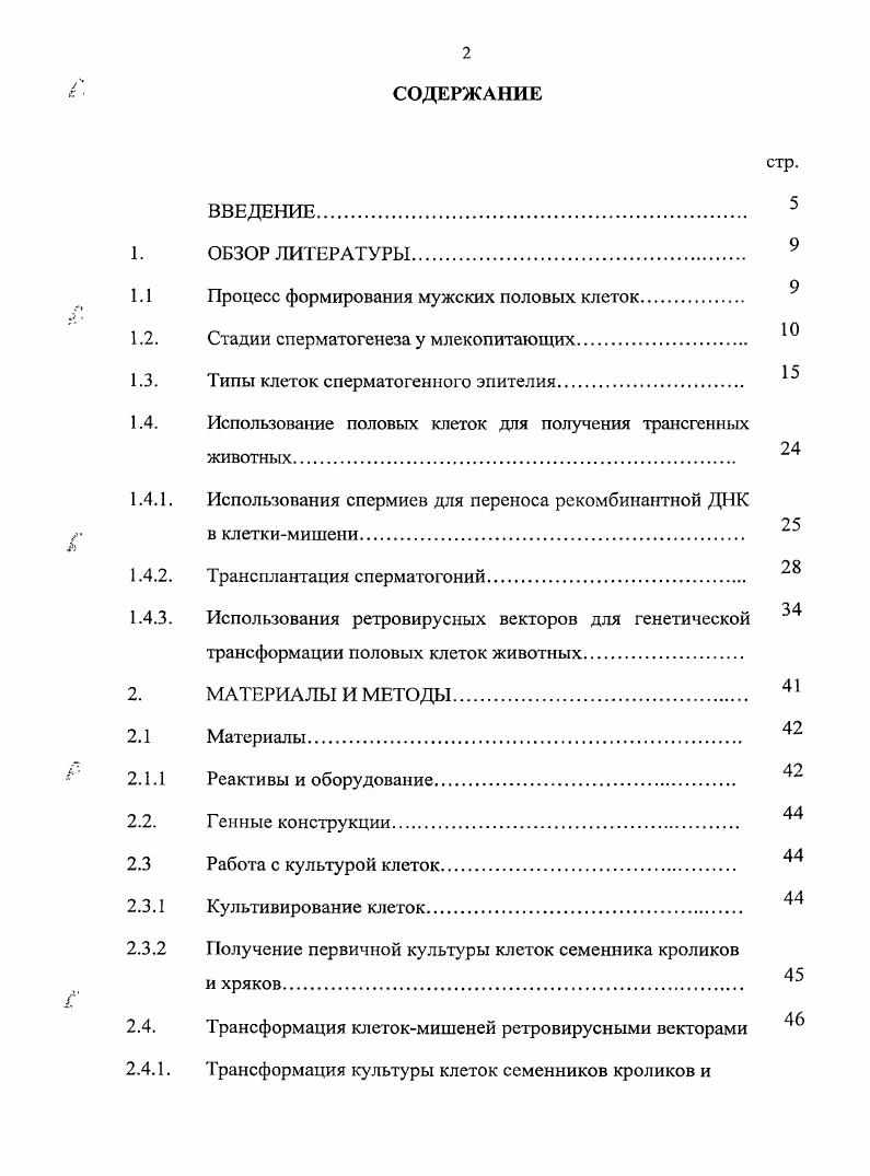 "Процесс формирования мужских половых клеток