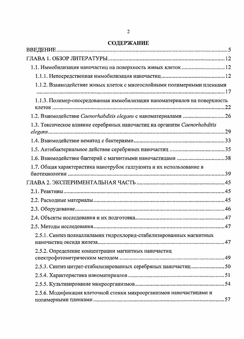 "
1.1. Иммобилизация наночастиц на поверхность живых клеток