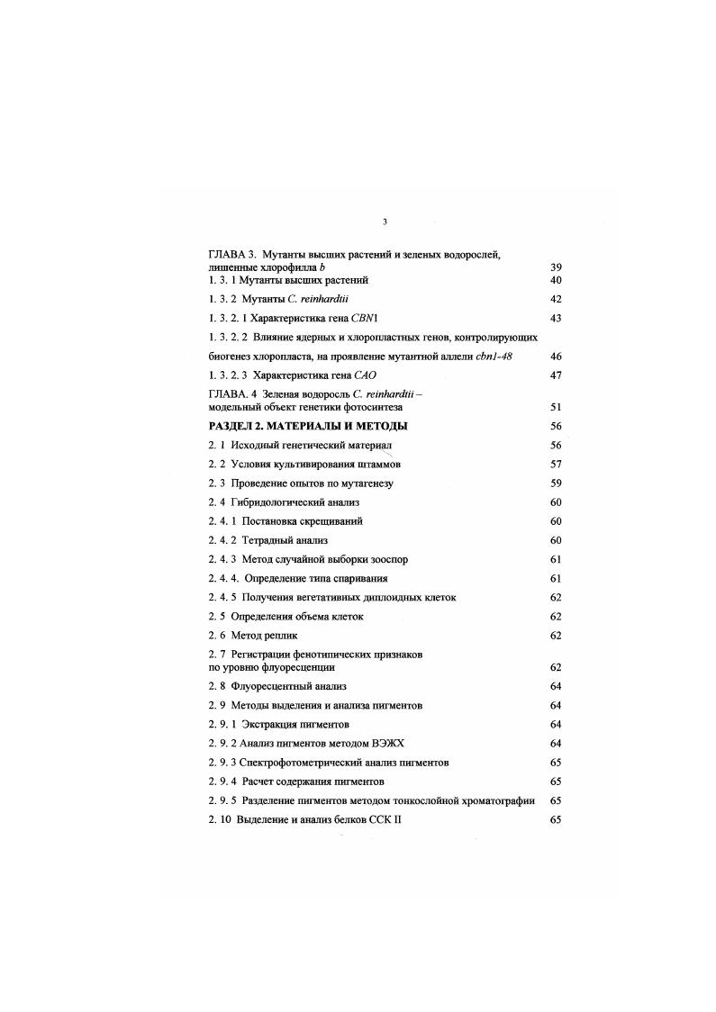 Глава 1. Биосинтез хлорофилла и его генетический контроль 