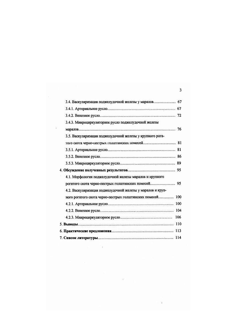 2.1.1. Анатомия, топография, развитие 