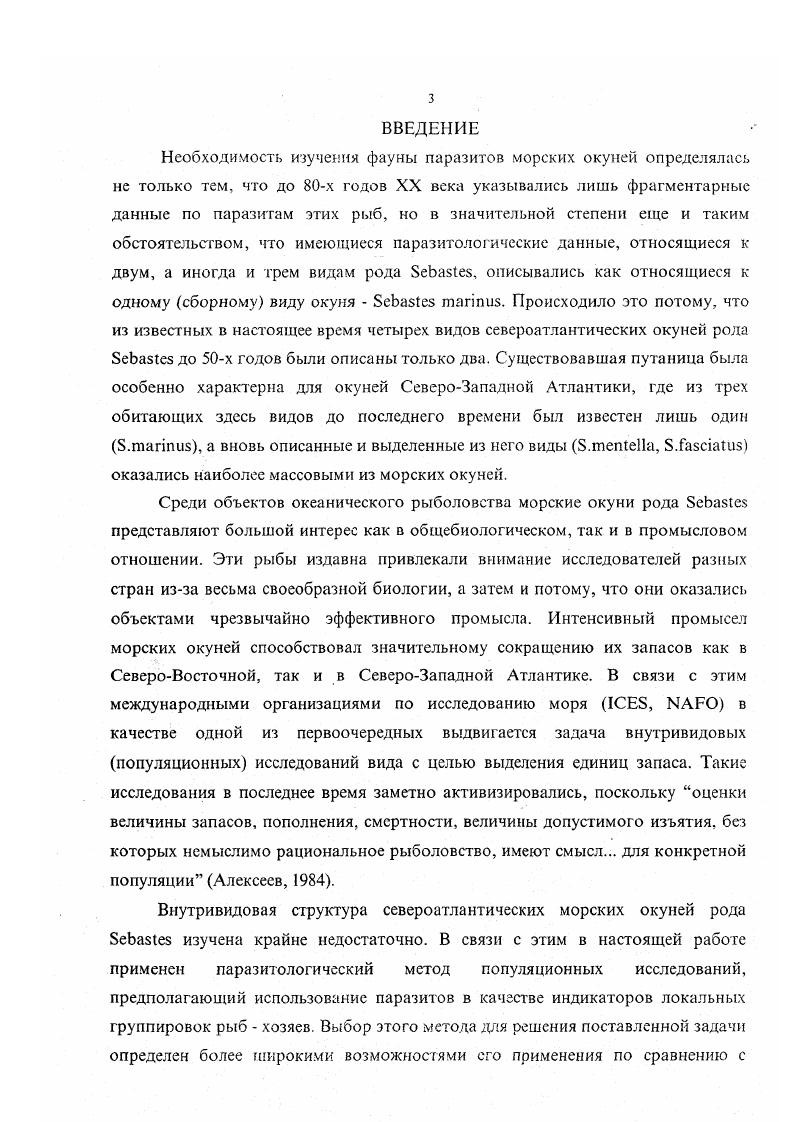 морских окуней рода  в Северной Атлантике 