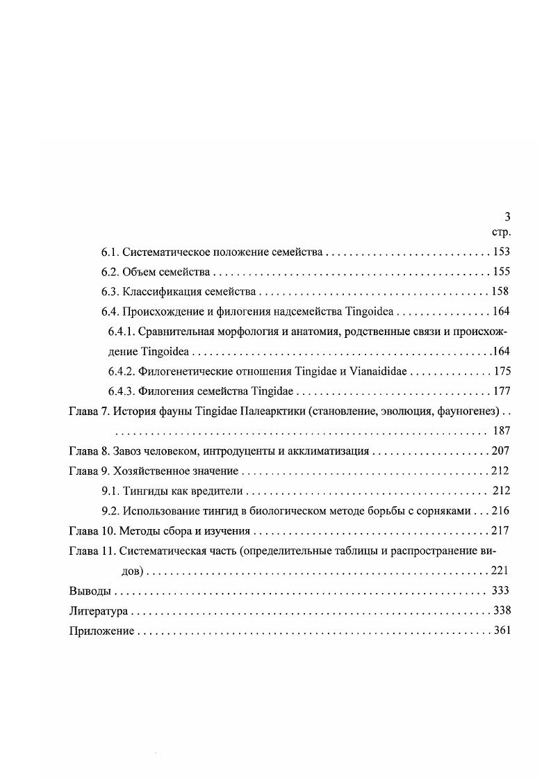2.3. Некоторые особенности морфологии кружевниц.