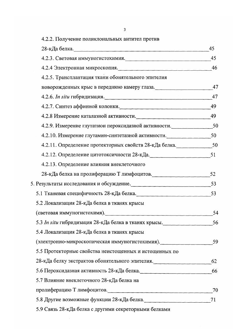 Физиологическая роль пероксиредоксинов. Введение. ЫБкР активации. Участие пероксиредоксинов в апопгозе. Постановка задачи исследования. Материалы и методы. Материалы. Методы . Выделение кДа белка из обонятельного эпителия крысы. Да белка. Световая иммуногистохимия. Электронная микроскопия. Трансплантация ткани обонятельного эпителия новорожденных крыс в переднюю камеру глаза. I i гибридизация. Синтез аффинной колонки. Измерение каталазной активности. Измерение глутатион пероксидазной активности. Измерение глутаминсинтетазной активности. Определение протекторных свойств кДа белка. Определение цитотоксичности кДа. Да белка на пролиферацию Т лимфоцитов. Результаты исследования и обсуждение. Тканевая специфичность кДа белка. I i гибридизация кДа белка в тканях крысы. Да белку экстрактов обонятельного эпителия. Пероксидазная активность кДа белка. Т лимфоцитов. Другие возможные функции кДа белка. Заключение. Выводы. Список цитируемой литературы. Введение. Некоторые эпителиальные ткани организма, такие как обонятельная выстилка, ткани респираторного эпителия и некоторые другие, непосредственно контактируют с окружающей средой. Клетки этих тканей покрыты слизью, которая является первым барьером между ними и атмосферой и, фактически, обеспечивает нормальное функционирование клеток эпителия. Через слизь осуществляется транспорт многих важных для организма веществ например, кислорода в респираторных тканях, пахучих стимулов в обонятельной выстилке и т. Одновременно через слизь могут поступать и многие вещества, которые являются токсичными для клеток эпителия. В этом случае на первый план выдвигаются системы, нейтрализующие действие таких веществ. Эти системы интенсивно исследуются и к настоящему времени показана роль некоторых ее компонентов. В частности, в обонятельном эпителии идентифицирован ряд трансформационных ферментов, включая некоторые ферментыантиоксиданты. Однако до полной картины еще далеко и постоянно открываются все новые ферменты, участвующие в нейтрализации токсических веществ в эпителиальных тканях. Недавно в лаборатории биофизики рецепции Института биологической физики РАН из слизи обонятельной выстилки крысы были выделены белки, которые являются мажорными среди водорастворимых белков слизи кДа белок и кДа белок. Очень высокое содержание данных белков в обонятельной выстилке от всех водорастворимых белков предполагает их важное участие в функционировании клеток в данной ткани. Проведенные в лаборатории предварительные исследования некоторых свойств кДа белка указывают на то, что он может участвовать в защите клеток обонятельного эпителия от повреждений, вызванных активными формами кислорода. Настоящая работа посвящена выявлению физиологической роли кДа белка как в обонятельной выстилке, так и в других тканях животного, и определение его места в общей системе защиты клеток эпителиальных тканей. Такого рода работы предполагают комплексный подход и должны включать в себя поиск гомологов данного белка с целью определения возможной функции, выявление субстратов и кофакторов для кДа белка, определение его локализации в различных тканях животного и места его синтеза, исследования по функционированию ткани при дефиците данного белка, место кДа белка в общей антиоксидантной системе и, наконец, связь кДабелка с другими секреторными белками эпителиальных тканей. Обзор литературы. Общая характеристика и классификация эпителиальных тканей. Эпителиальные ткани получили свое название от двух греческих слов эпи над и теле сосочек. Впервые этот термин был применен Рюишем, который назвал эпителием ткань, расположенную над сосочками соединительной ткани, т. Позднее в группу эпителиальных тканей стали относить и другие пограничные ткани, а затем и железы. Эпителиальные ткани строятся клетками, называемыми эпителиоцитами. Общие морфологические и функциональные признаки эпителия, отличающие его от других тканей следующие. Эпителий это пограничная барьерная ткань, которая отделяет организм от внешней или внутренней среды и одновременно осуществляет с ним связь. 