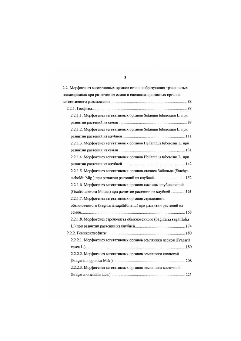 1.1.1. Принципы классификации побегов.