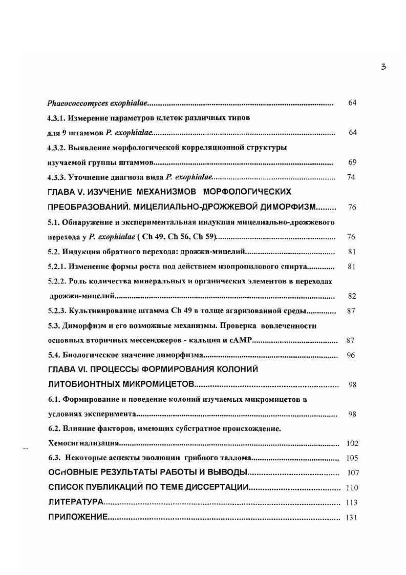 1.2. Значение понятий дрожжи и черные дрожжи. 