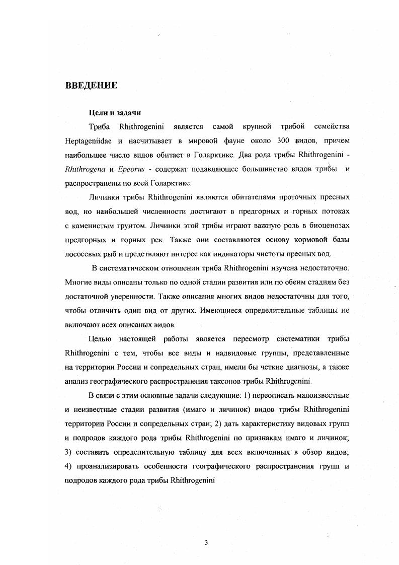 Глава 2. Очерк морфологии имаго и личинок с анализом признаков. 