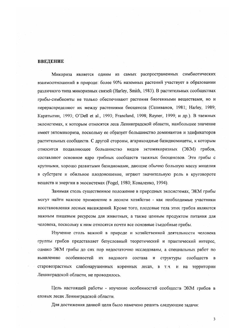 1.3. Пространственная структура грибных сообществ. 