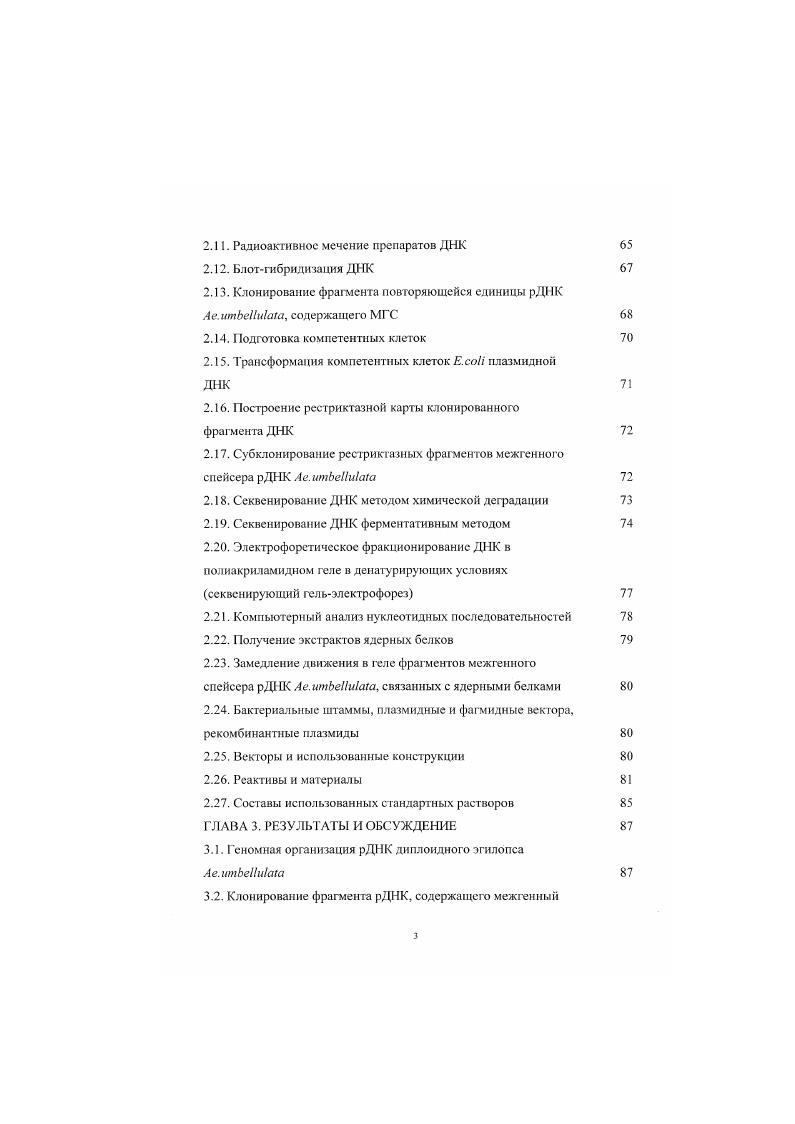 1.2. Локализация генов рРИК. Ядрышковые организаторы